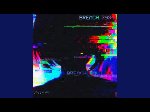 PROTOCOL_OVERRIDE.EXE