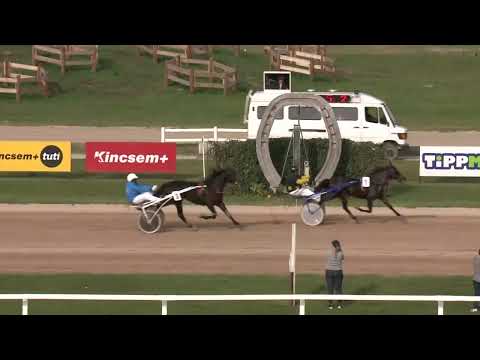 2022.10.08. Napi összefoglaló