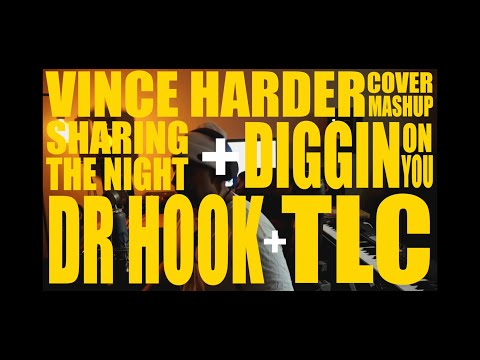 Vince Harder - Sharing The Night & Diggin On You (Cover Mash Up)