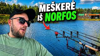 Žvejoju KARPIUS su įranga ir jaukais iš NORFOS