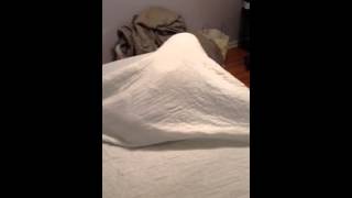 Download lagu Help, I'm stuck under the mattress pad! mp3