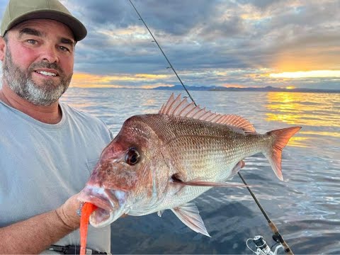 Mixed Species Bottom Fishing From A Boat. Rob Taylor's Hot Water  Fishing - Episode 81