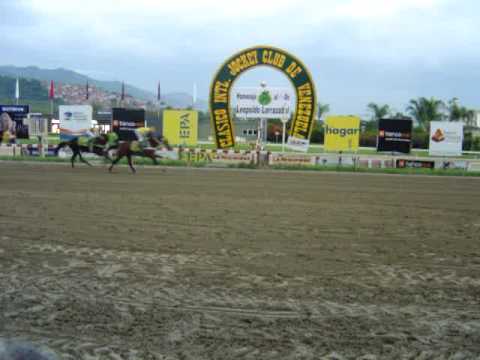 KING SERAF galopa el Clásico Jockey Club de Venezuela Gr.1