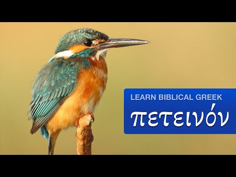 Learn Biblical Greek: πετεινόν