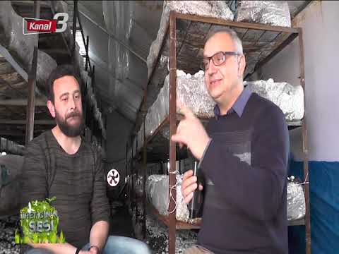 KANAL 3’TE SABAH 12 02 2019