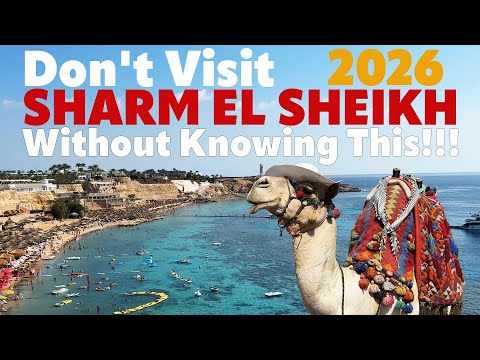 Must Know Tips Before Visiting Sharm El Sheikh 2026