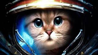 Gatos en la luna - !míralo¡