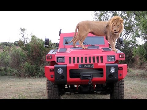 Top Armored Cars 2/ Top Carros Blindados 2