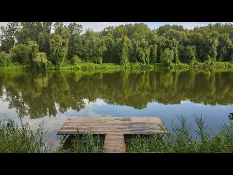 Tapolyai Emőke: Lazító gyakorlatok 3. – Képzelőerőnk ajándéka képekben