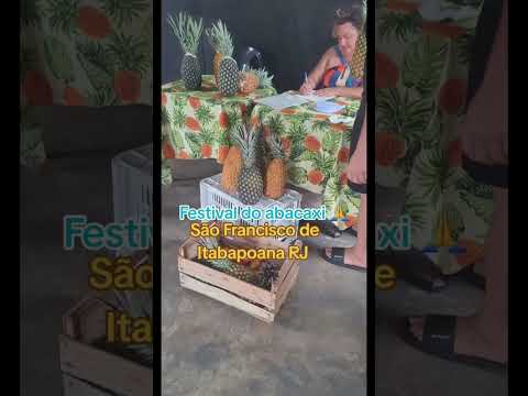 Primeiro festival do abacaxi em São Francisco de Itabapoana RJ 😍