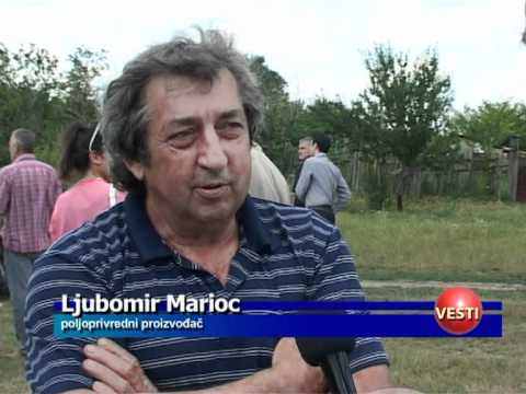 Zoran Atanacković, Ljubomir Maorić poljoprivredni proizvođači