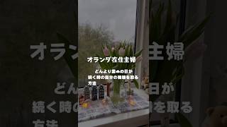 曇りでも雨でも☁️ご機嫌でいたい！#オランダ生活 #オランダ駐在妻#主婦
