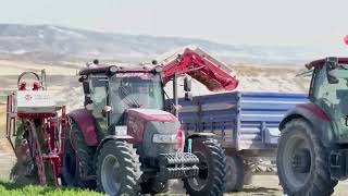Новый морковоуборочный комбайн Tokay Makine 2026 | Изображение 4 - Agroline