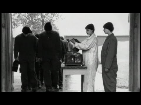 Vilain Pingouin - P'tite vie p'tite misère