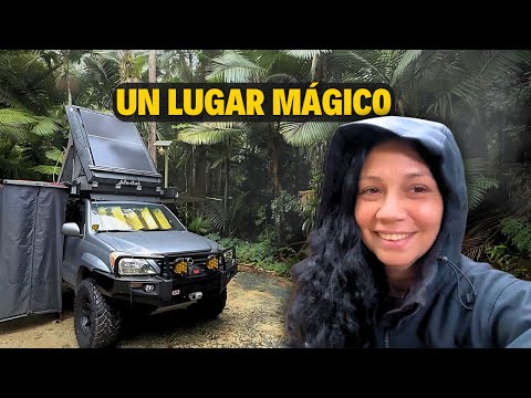 Nunca pensé que este lugar mágico existía en Puerto Rico | Camping |