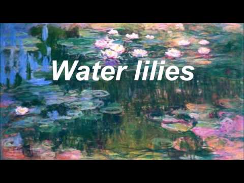 Black Water Lilies - AURORA - Lyrics