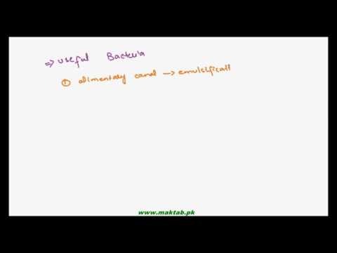 FSc Biology Book1, CH 6, LEC 9: Importance of Bacteria