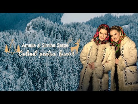 Amalia și Simina ȘARPE- Colind pentru bunici❄️  (cântec de Crăciun)
