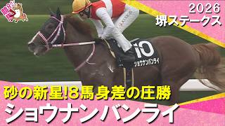 【衝撃V！オルフェーヴル産駒×池添謙一騎手】2026年堺ステークス　ショウナンバンライ  実況：石田一洋【カンテレ公式】