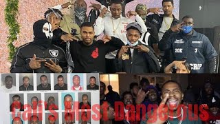 Who are the insane crips