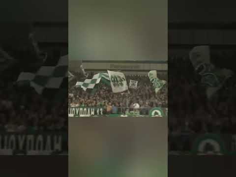 PAO OLE ☘️#ultraswayy #ultras #chant #panathinaikos #gate13