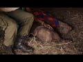 45 Years Protecting Wildlife and Habitats in Kenya | Sheldrick Trust