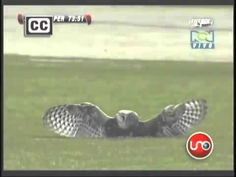 Jak można być takim skur**synem?