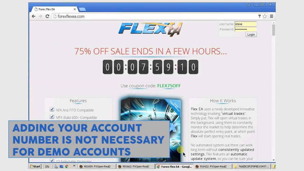 Forex Flex EA Installation Setup Guide