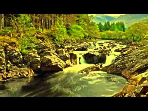 "Hate me,if you can"-Доктора и Попа