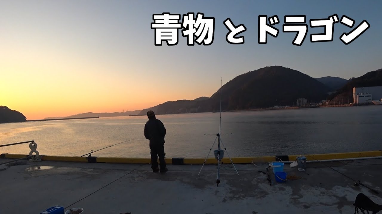 2025 初青物＆ドラゴン狙う