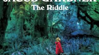 Jacco Gardner - The Riddle