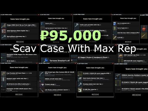 20 ₽95,000 scav cases with max rep