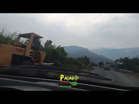 Cruzando el PR 82 hoy sábado (vía Pajarito Boyacá - Sogamoso) (Marzo 28/2026)