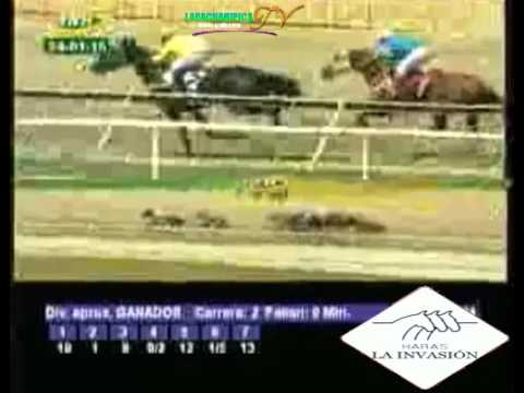 LA RINCONADA 2 CARRERA, DOMINGO 24 DE ENERO DEL 2016