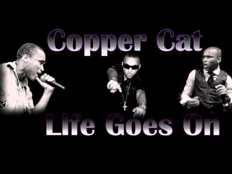 R.I.P Copper Cat - Life Goes On Dub Plate