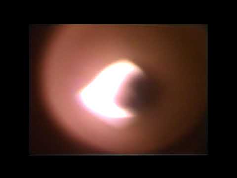 Marika Hackman - Between the Bars