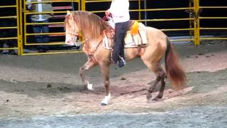 Joan Sebastian-El padrino de cama