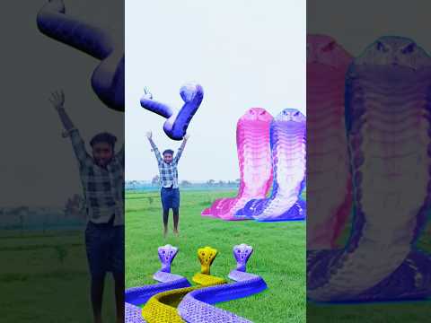 dhan#khat#ma#senak#aya#hara#hara#shambhu