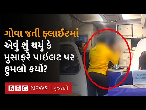 Indigo Passenger Hits Pilot : Delhi થી Goa જતી ફ્લાઇટમાં મુસાફરે પાઇલટ પર કેમ કર્યો હુમલો? Viral