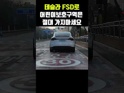 테슬라 FSD, 어린이 보호구역만 가면 PTSD 오네