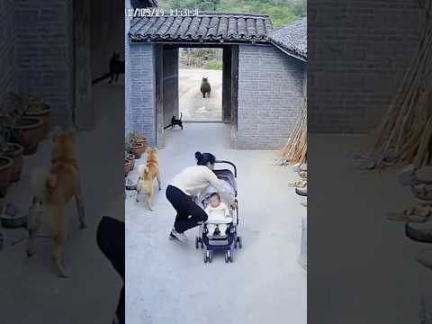 SURAH AL-KAWTHAR ❄️❤️ reading Quran while snowing! #egzonibrahimi