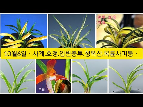 유튜브 썸네일