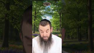 להתקדם בחיים | הרב שמואל אידלמן (הרב יוסף צבי בן פורת) - התמונה מוצגת ישירות מתוך אתר האינטרנט יוטיוב. זכויות היוצרים בתמונה שייכות ליוצרה. קישור קרדיט למקור התוכן נמצא בתוך דף הסרטון