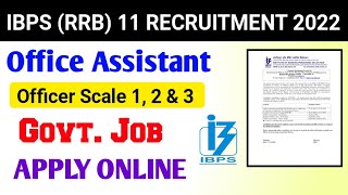 IBPS RRB XI Recruitment 2022 | IBPS RRB 11 2022- Apply Online Now | Latest Government Job 2022