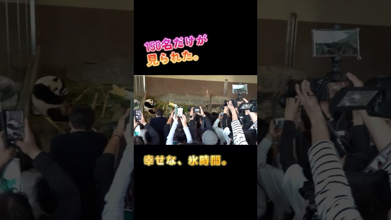 150名だけが見られた楓浜の氷時間。