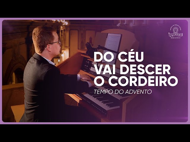 Preview do vídeo