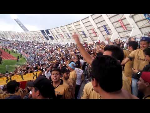 "Carnaval REBEL ðŸ’™ðŸ’›ðŸŽ·ðŸŽº" Barra: La Rebel &bull; Club: Pumas