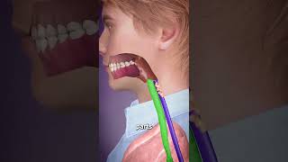 स्वास नाली में खाना चला जाए 😟 || Swallowing Down The Wrong Pipe 😟