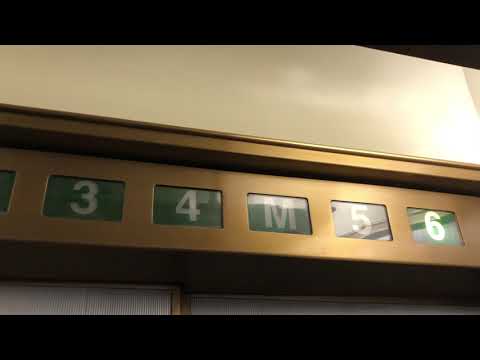 Two More Banks of Elevators @ Denver Dry Bldg - Denver, CO.