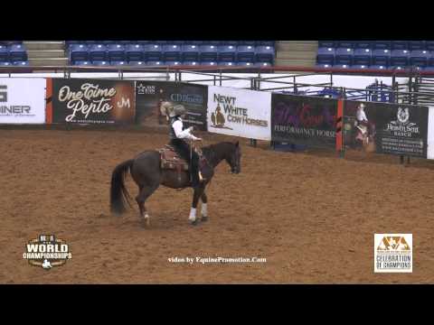 Bets Smart Lena ridden by Allyson Mcbride - 2015 NRCHA Celeb. of Champs.(Nov. NP Bridle-Finals)